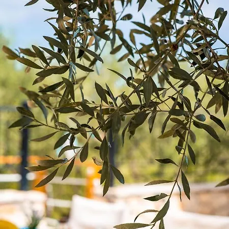 Luxury Mouzaki فندق مبيت وإفطار